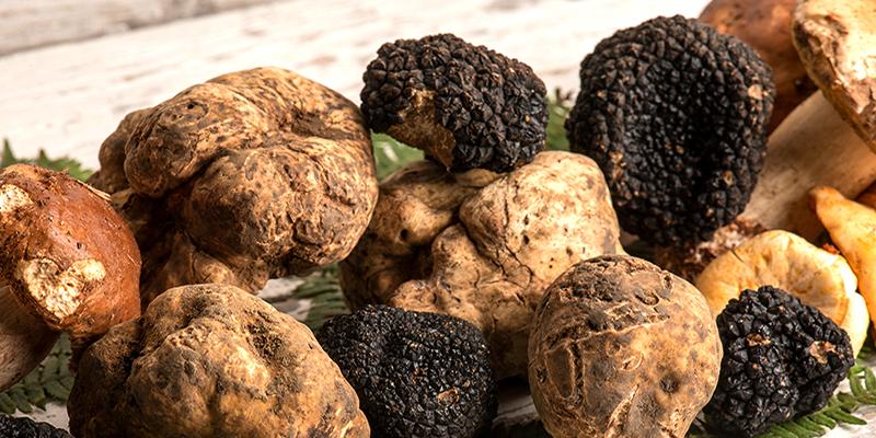 All About Truffles: What They Taste Like, Where They're From ...