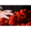 Gentile Organic Passata di Pomodoro, 35.3 oz Pasta & Dry Goods Gentile