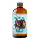 Liquid Blenz Flat Belly Bully Detox & Fat Burner, 16 oz Health & Beauty Liquid Blenz
