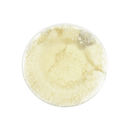 Locatelli Pecorino Romano Grated Cheese Cup, 4 oz Cheese Locatelli