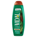 Vidal Pino Classico Body Wash Revitalizing Formula, 500 mL Health & Beauty Vidal
