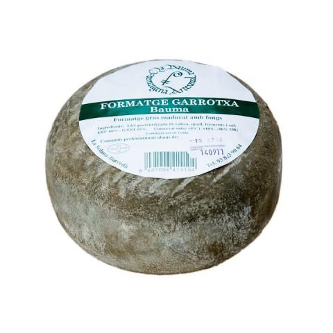 Bauma Garrotxa Cheese from Catalonia, Spain