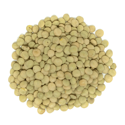 Sanniti Organic Green Lentils, 10 Lbs Pasta & Dry Goods Sanniti