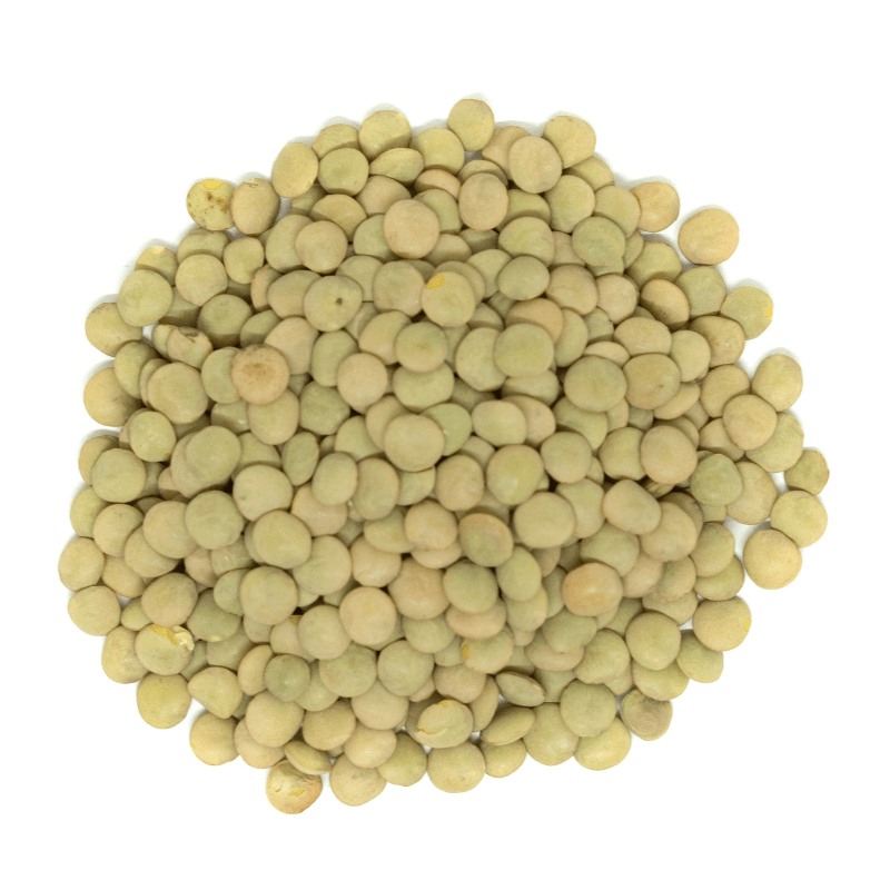Sanniti Organic Green Lentils, 10 Lbs Pasta & Dry Goods Sanniti