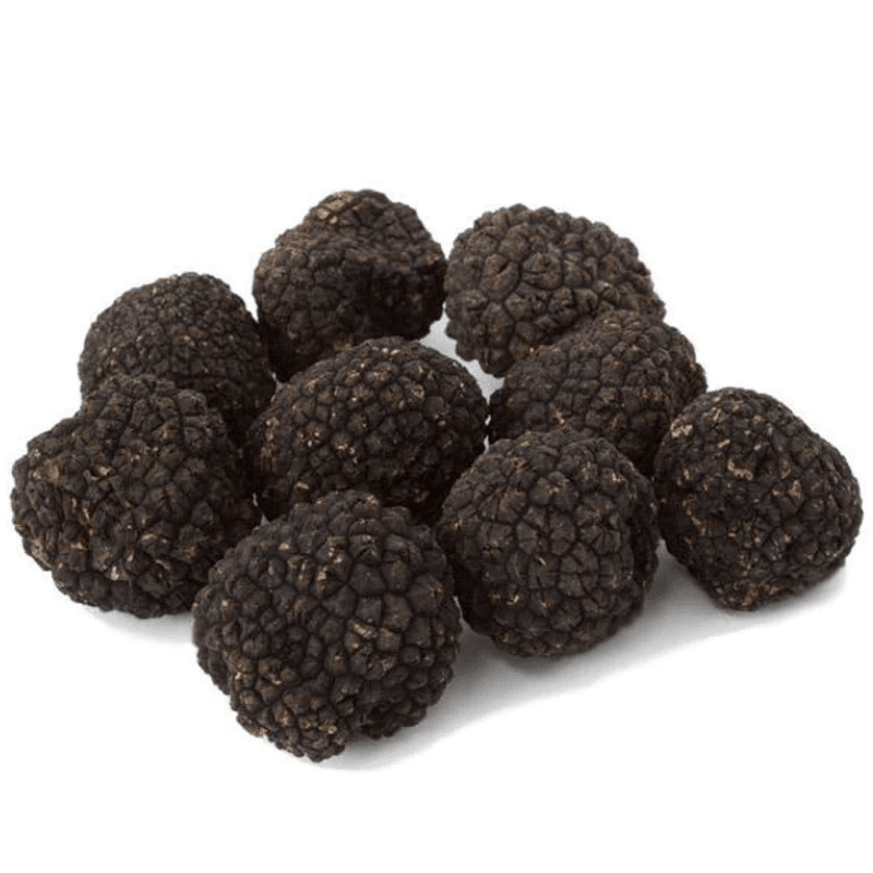 Urbani Truffles Black Burgundy Truffles (Tuber Uncinatum) Fruits & Veggies Urbani