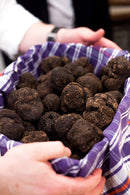 Urbani Truffles Black Burgundy Truffles (Tuber Uncinatum) Fruits & Veggies Urbani
