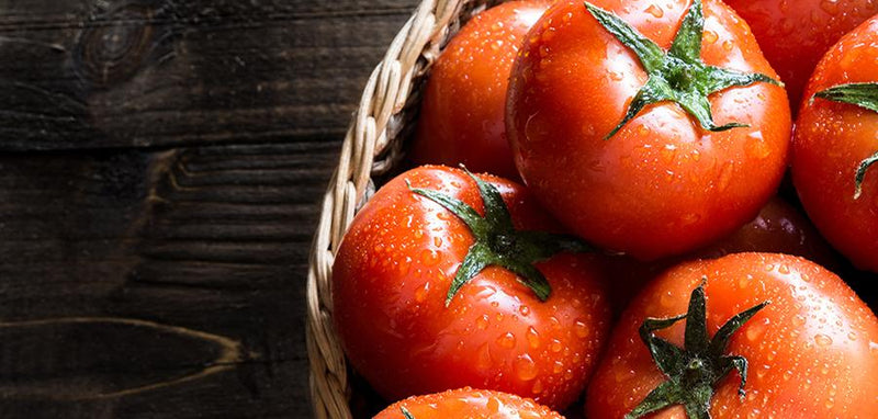 Bowl of red tomatoes