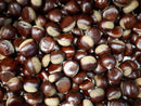 Representative photograph of raw chestnuts in their shells; actual size and quantity vary.