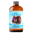 Liquid Blenz Flat Belly Bully Detox & Fat Burner, 32 oz Health & Beauty Liquid Blenz 