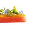 Texturas Gellan Powdered Gellan Gum, 14.1 oz Pantry Texturas by Ferran Adria 