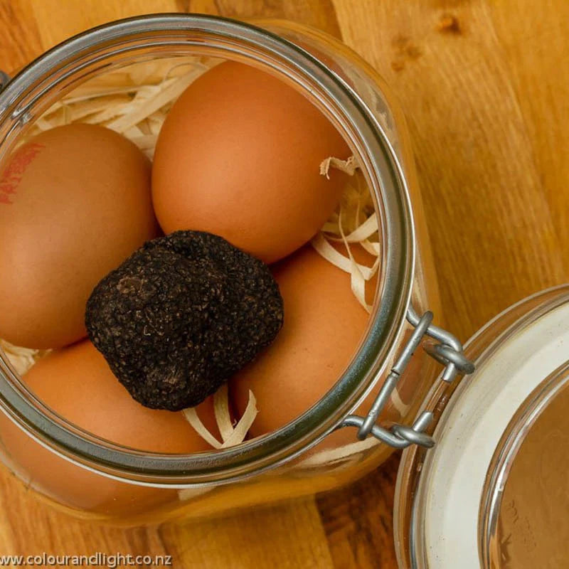 Urbani Truffles Black Summer Truffles Fruits & Veggies Urbani 