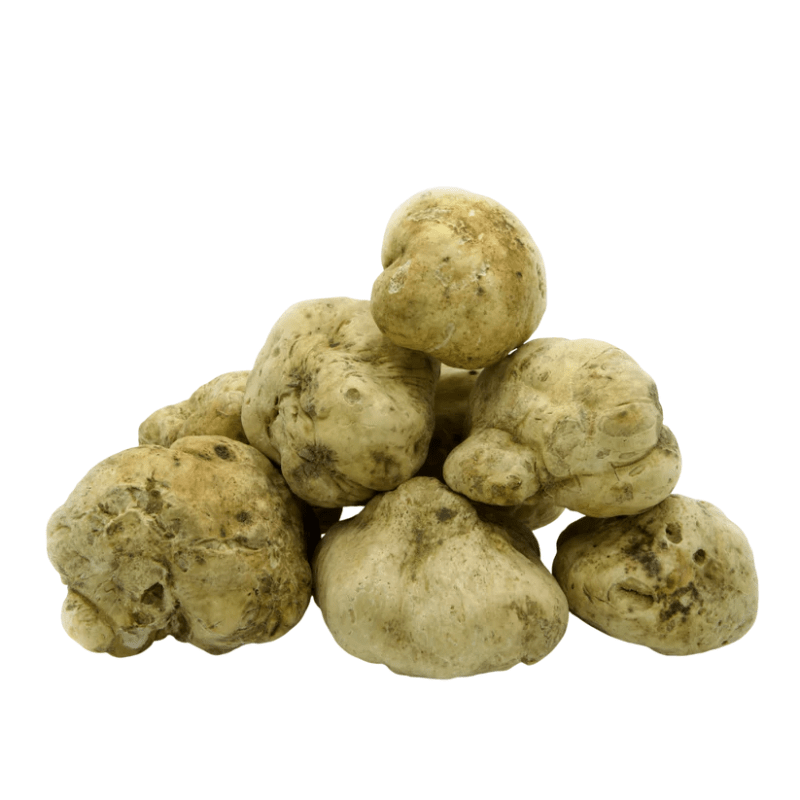 Urbani Truffles Medium White Alba Truffles (Tuber Magnatum Pico) Fruits & Veggies Urbani 