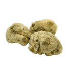 Urbani Truffles Medium White Alba Truffles (Tuber Magnatum Pico) Fruits & Veggies Urbani 