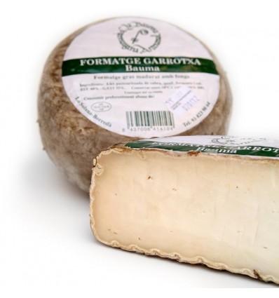 Bauma Garrotxa Cheese from Catalonia, Spain