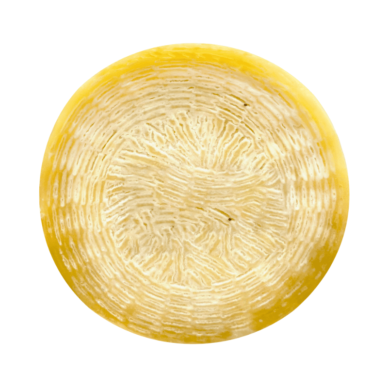 Casearia Crotonese Semiduro Brugnano DOP Wheel, 4 Lbs Cheese vendor-unknown 