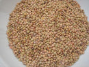 Lentils Castelluccio di Norcia Umbria - 500 grams