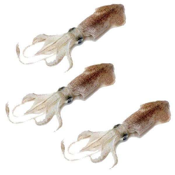 Mmmediterranean Baby Squid Calamareti, 4.4 lbs Bag