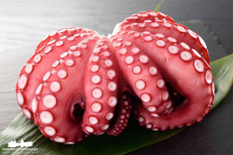Mmmediterranean Fresh Spanish Flower Octopus