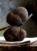 Urbani Truffles Black Burgundy Truffles (Tuber Uncinatum) Fruits & Veggies Urbani 